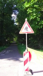 Lemker Volkslauf 2015